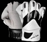 Wicket Keeping Gloves